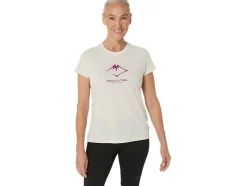 FUJITRAIL LOGO SS TOP