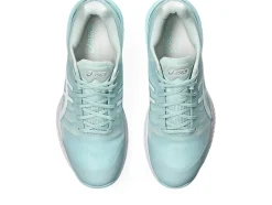 NETBURNER PROFESSIONAL&trade; FF 3